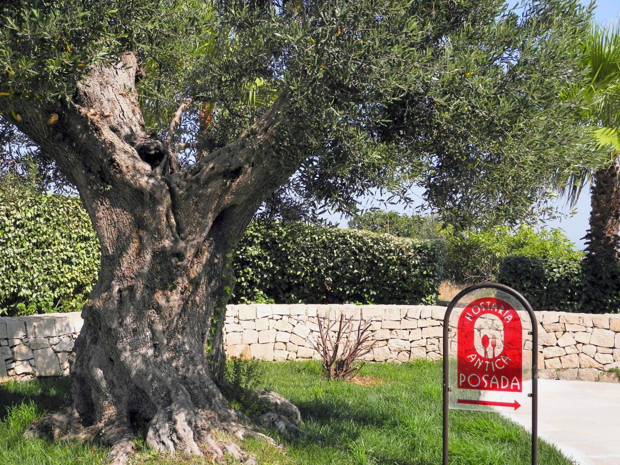 Relais Sant'Eligio Hotel Ostuni Exterior photo