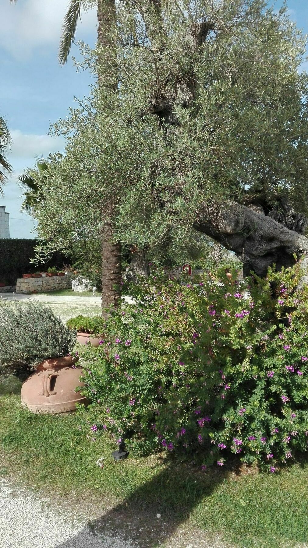 Relais Sant'Eligio Hotel Ostuni Exterior photo